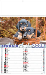 Calendario Cani e Gatti