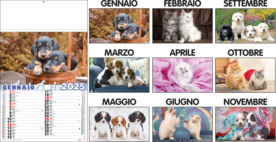 Calendari Cani e Gatti